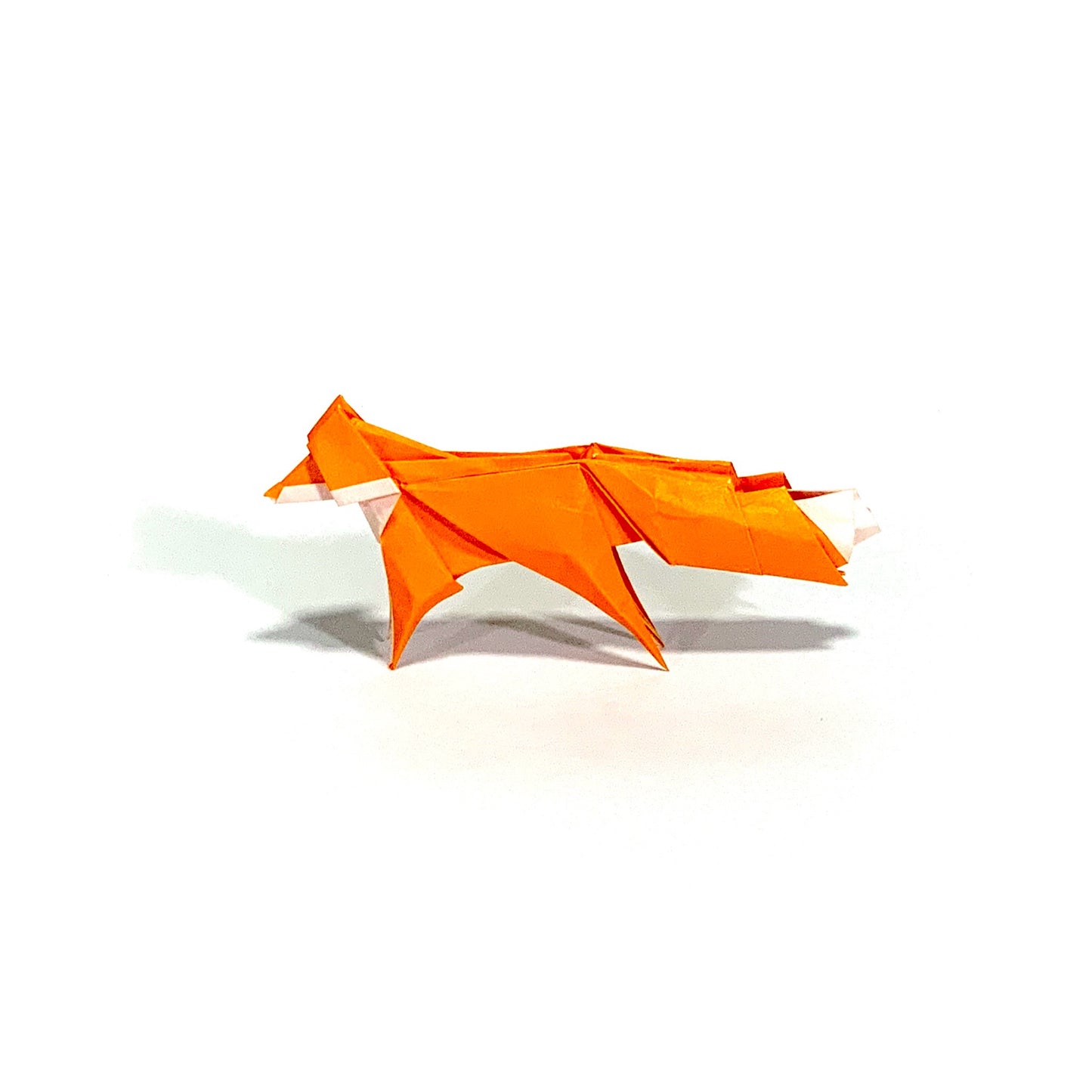 Origami Fox – multi colors